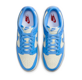Nike Dunk Low Retro 'University Blue'